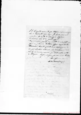 Fotogramma D 11
