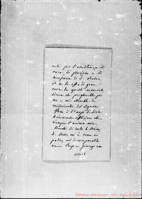 Fotogramma C 8