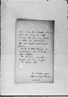 Fotogramma C 12