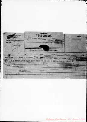 Fotogramma C 10