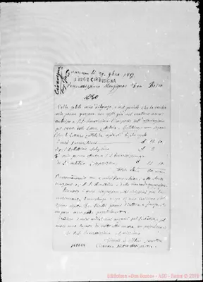 Fotogramma E 4