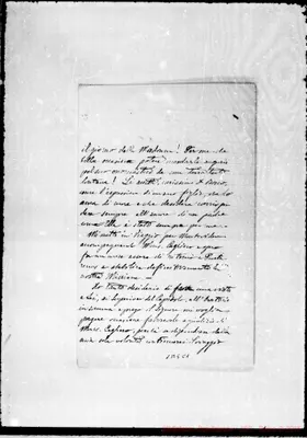 Fotogramma C 1