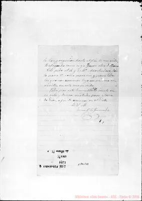 Fotogramma C 11