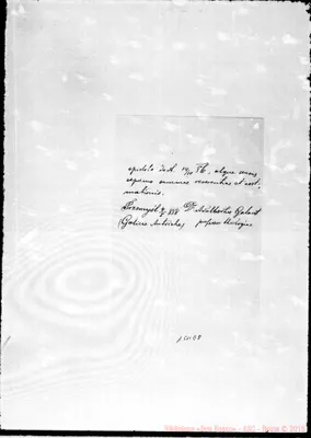 Fotogramma E 8
