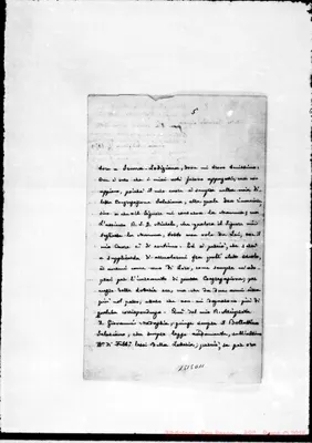 Fotogramma D 11