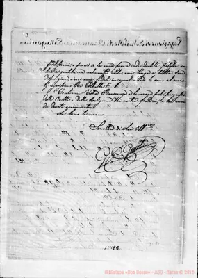 Fotogramma E 8