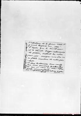 Fotogramma D 11