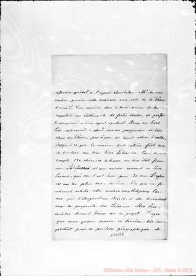 Fotogramma E 8