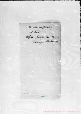 Fotogramma E 8