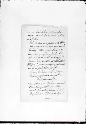 Fotogramma D 11