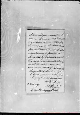 Fotogramma D 5