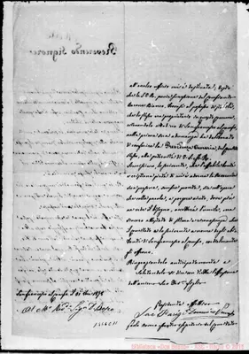 Fotogramma C 11