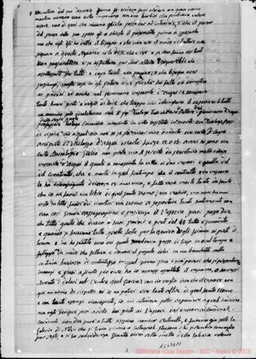 Fotogramma D 11