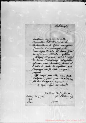 Fotogramma E 8