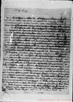 Fotogramma D 5