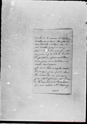 Fotogramma C 5