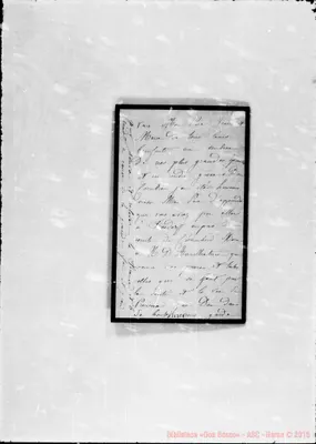 Fotogramma E 8