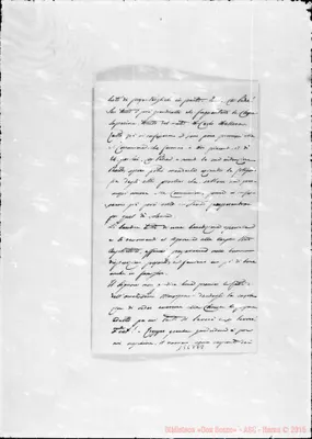 Fotogramma E 8