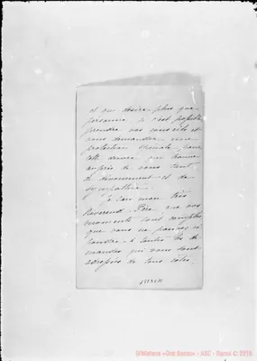 Fotogramma C 11