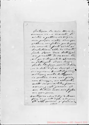 Fotogramma C 11