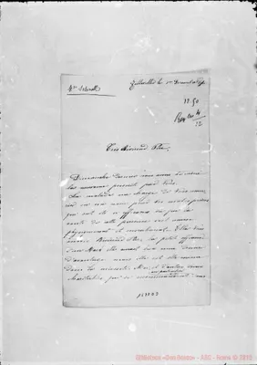 Fotogramma D 3