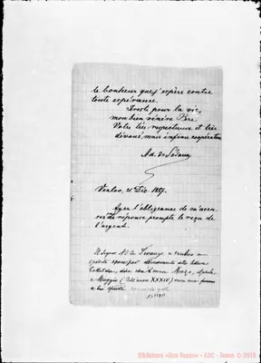 Fotogramma D 11