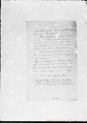 Fotogramma E 8