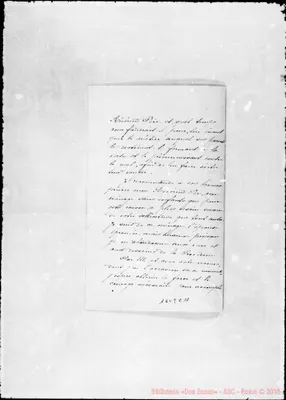 Fotogramma C 11