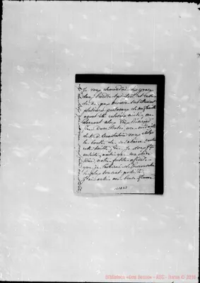 Fotogramma E 8