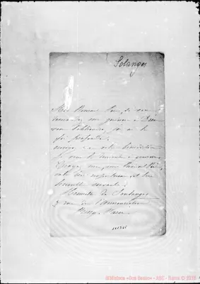 Fotogramma D 5
