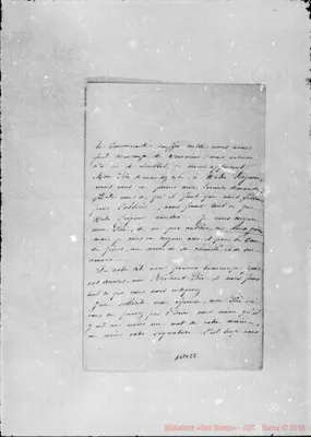 Fotogramma C 2