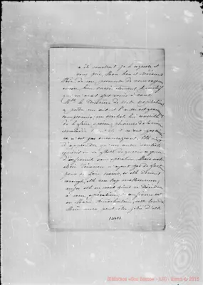 Fotogramma E 7