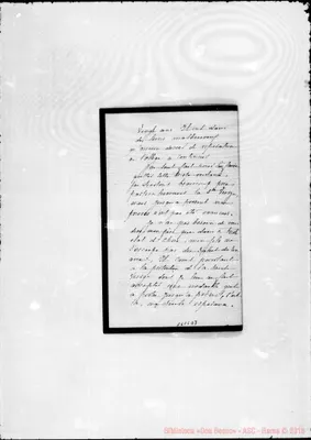 Fotogramma D 7