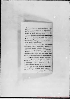 Fotogramma D 11