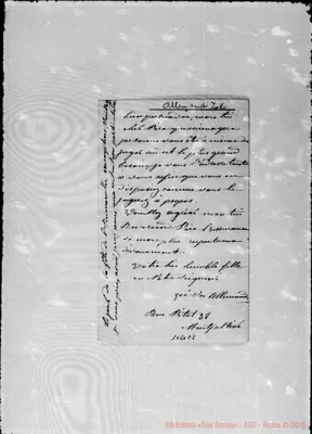 Fotogramma E 8