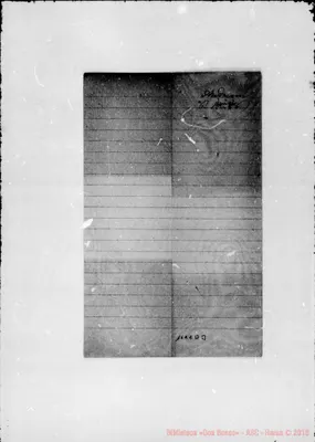 Fotogramma D 3