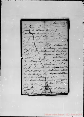 Fotogramma E 4