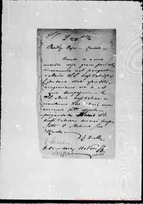 Fotogramma E 7