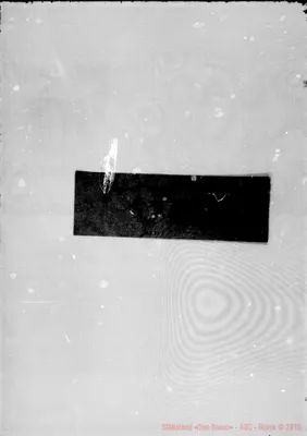 Fotogramma D 5