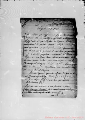 Fotogramma E 8