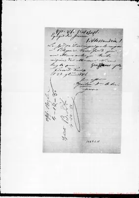 Fotogramma C 11