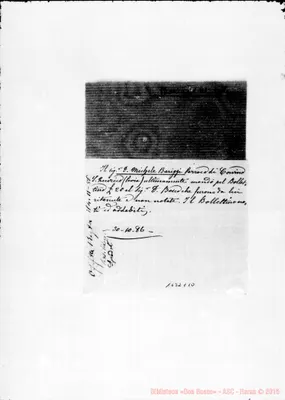 Fotogramma C 10