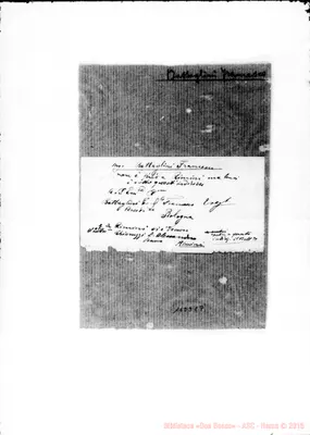 Fotogramma C 7