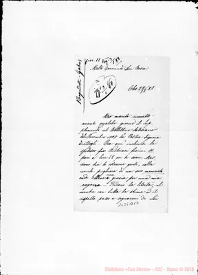 Fotogramma B 12