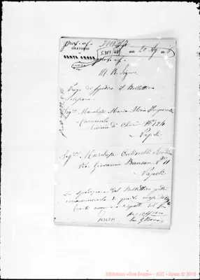 Fotogramma E 11