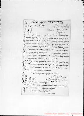 Fotogramma D 11