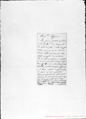 Fotogramma C 11