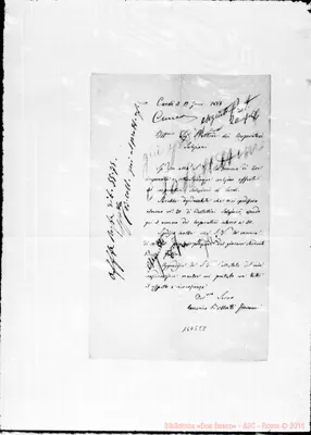 Fotogramma E 8