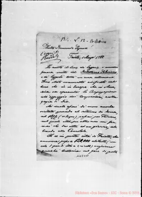 Fotogramma C 11