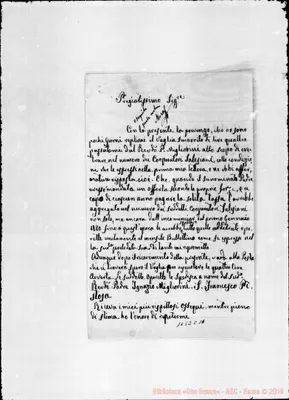 Fotogramma C 11